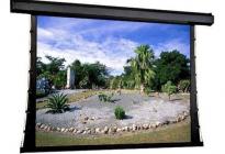 Экран Draper Premier HDTV (9:16) 338/133" 165*295 MS1000X Grey ebd 12" case white